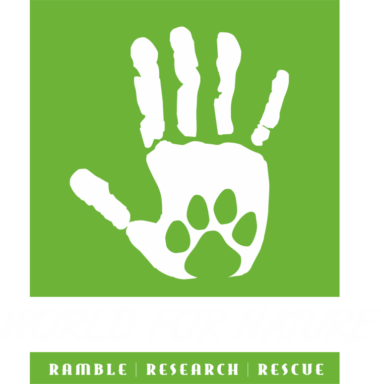 Green Pit Viper World For Nature green-pit-viper-world-for-nature