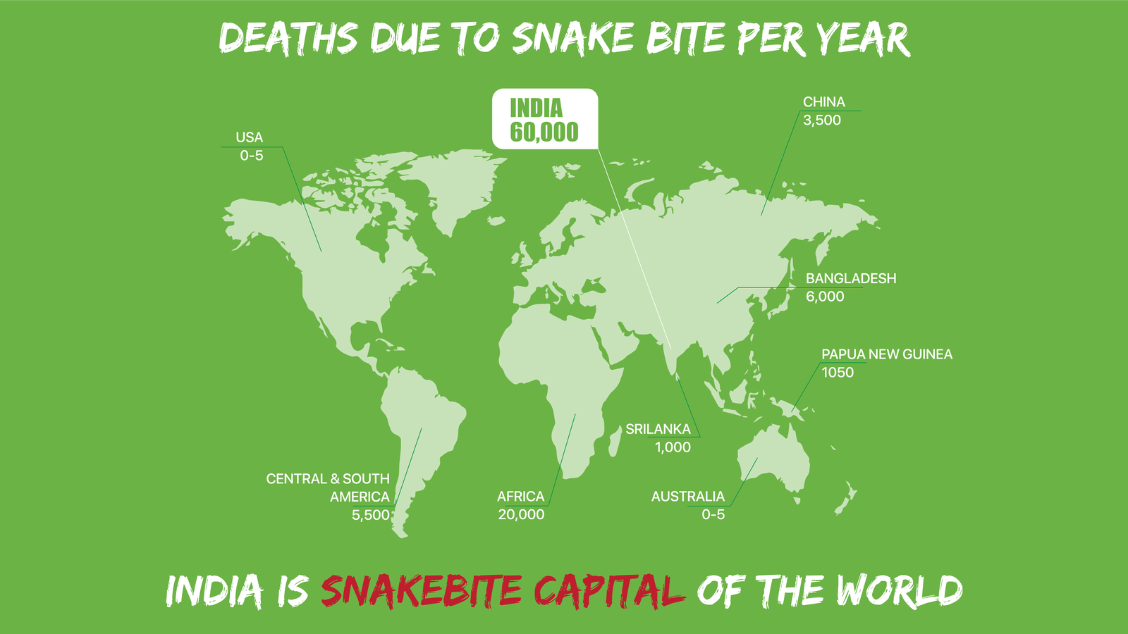 Snake Bite Map