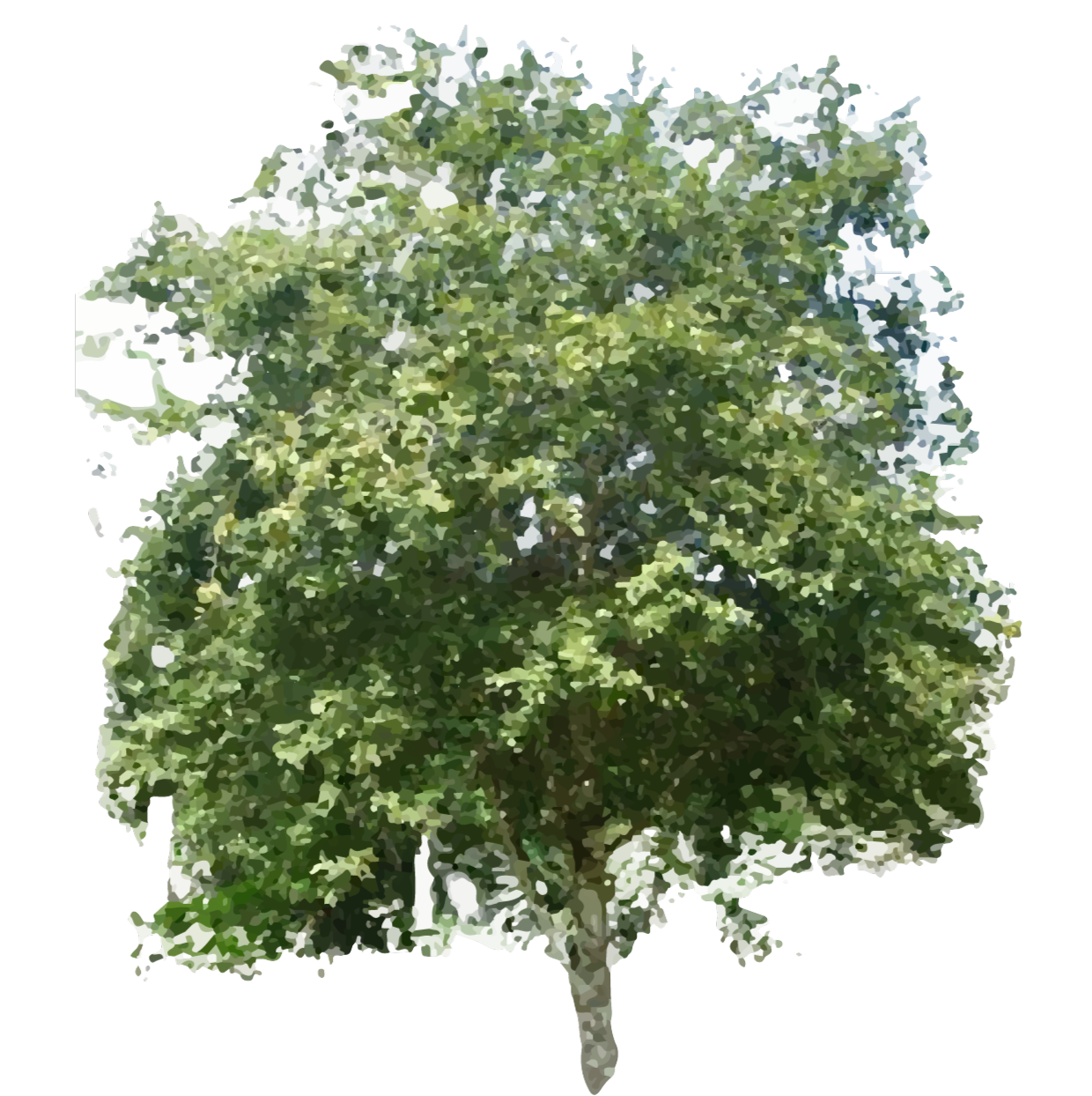 Puducherry ST - World For Nature