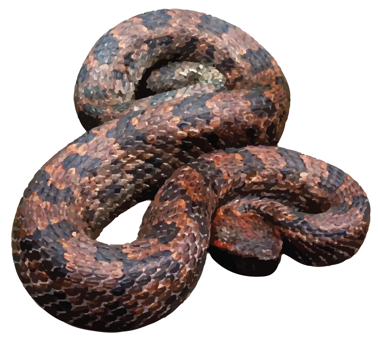 EASTERN HIMALAYAN PIT VIPER-27