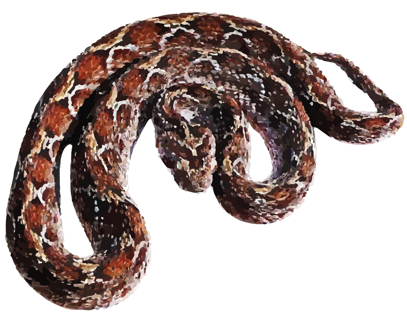 SAW SCALED VIPER-12